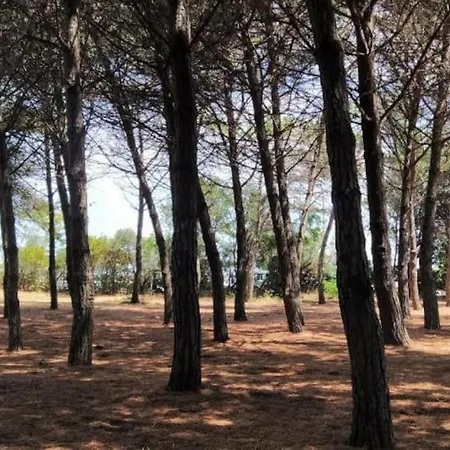 Rifugio Sul Mare - La Tua Vacanza Con Vista * Montesilvano Marina